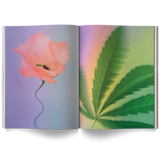A Weed Is a Flower by Broccoli, view 2