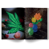 A Weed Is a Flower by Broccoli, view 3