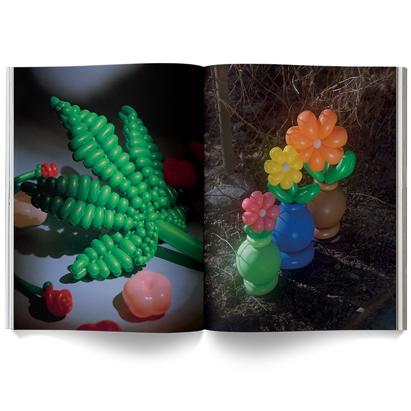 A Weed Is a Flower by Broccoli, view 3