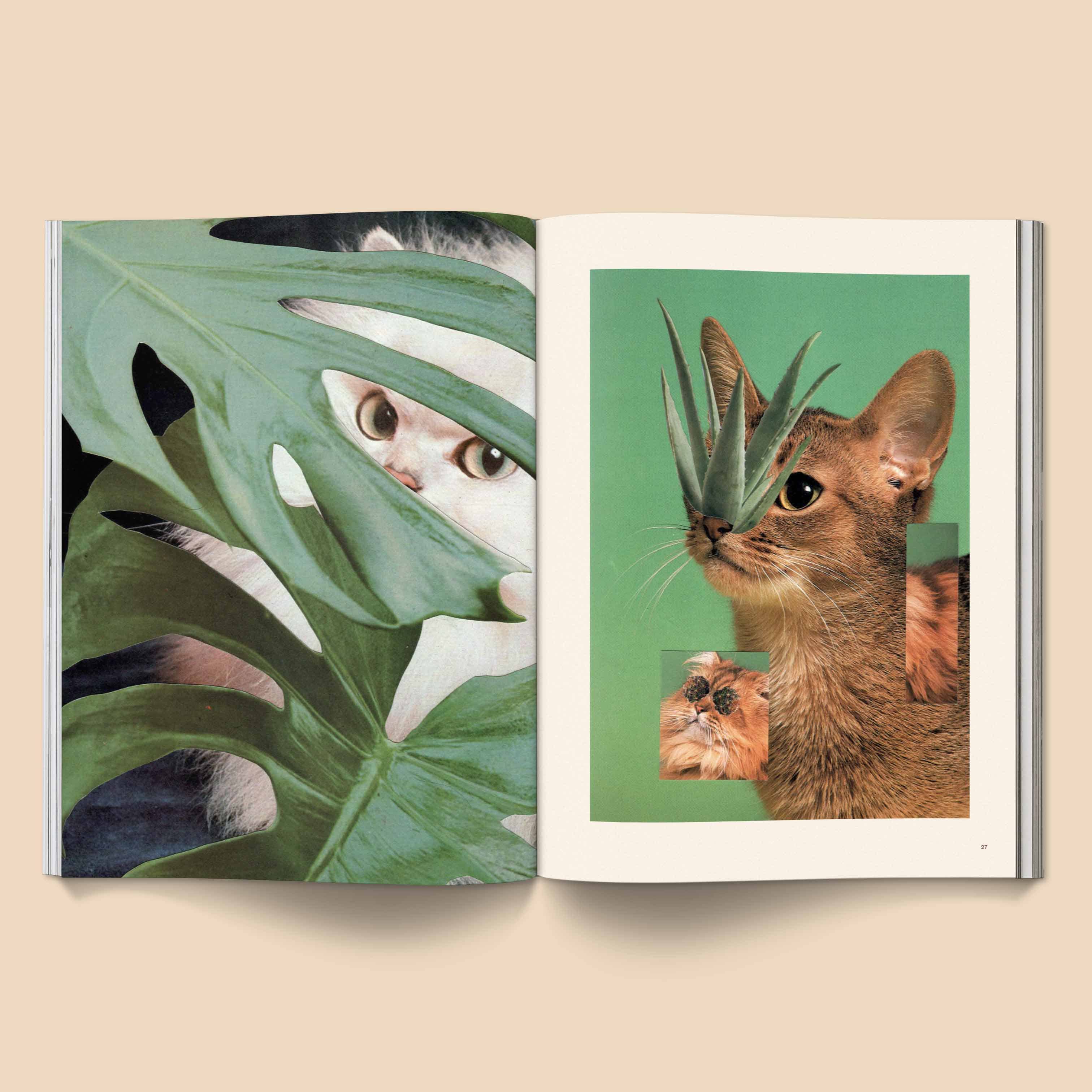 Catnip Magazine by Broccoli, view 2